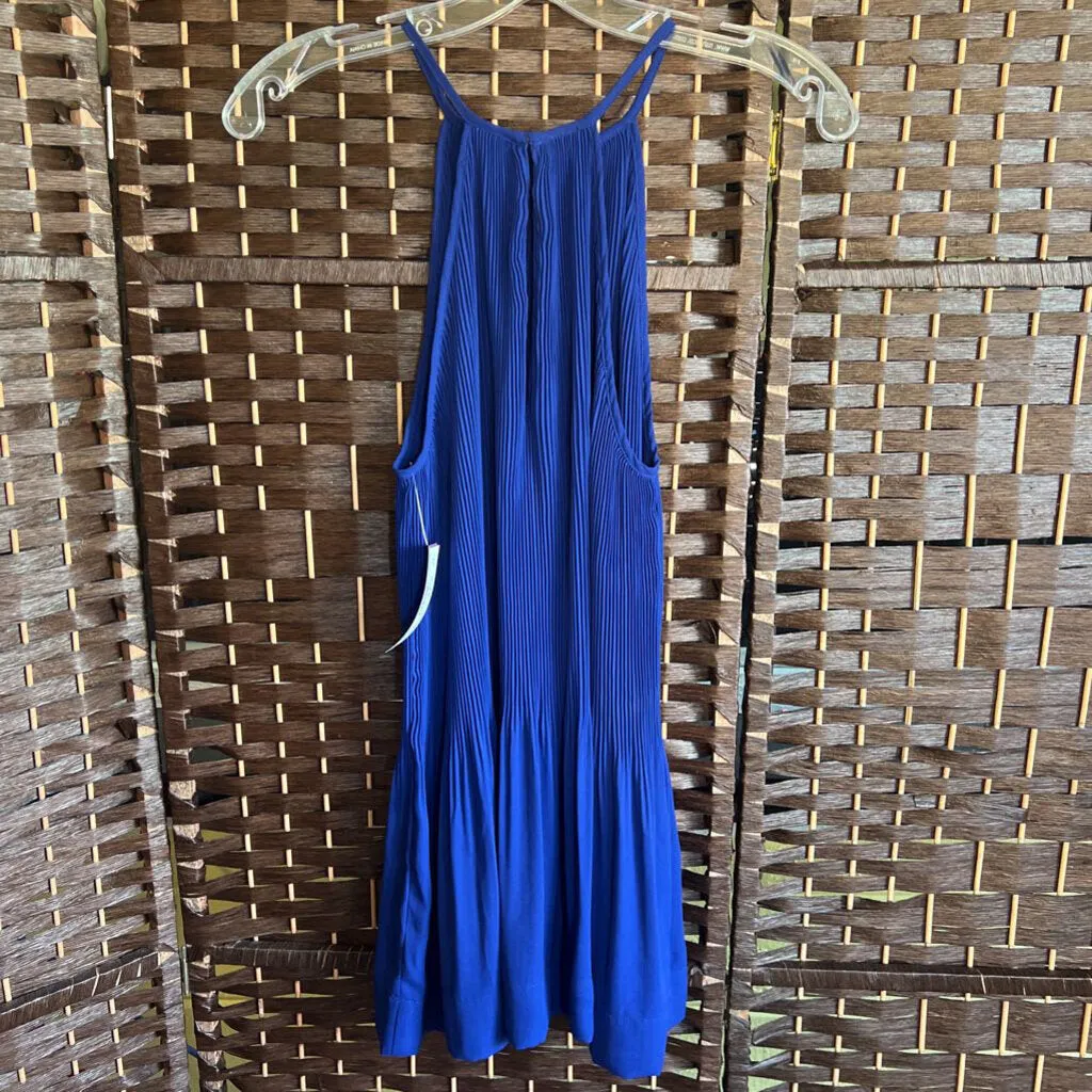Alithea,Royal ,M,Halter
