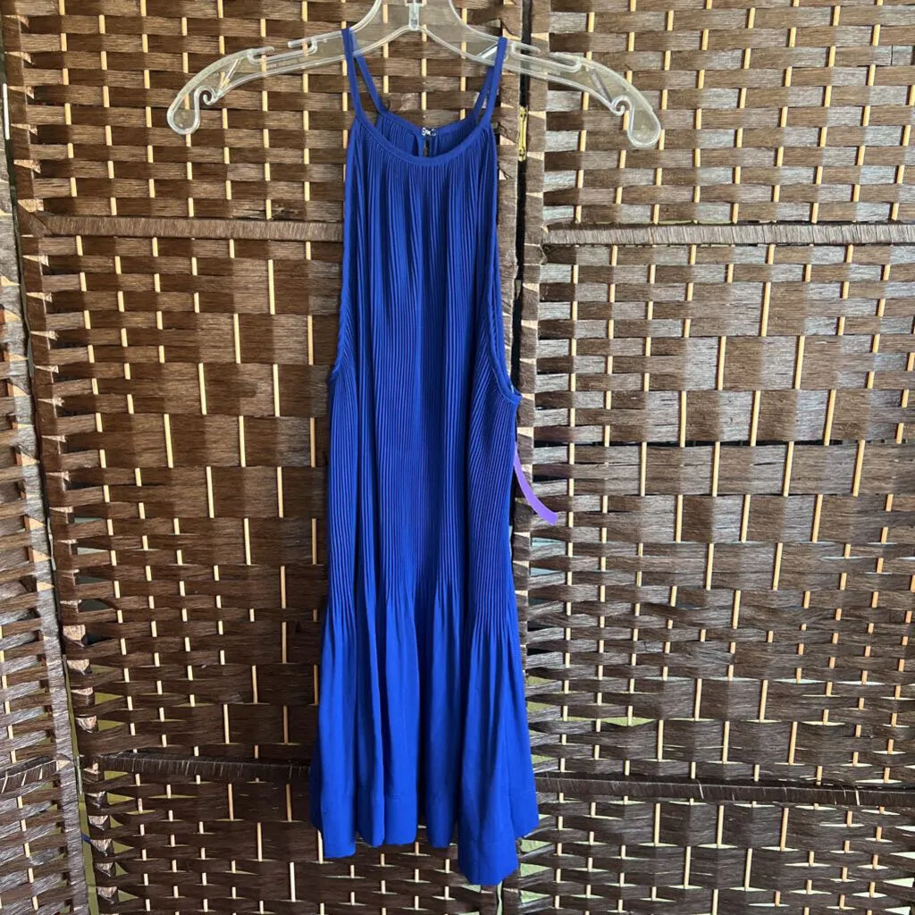 Alithea,Royal ,M,Halter