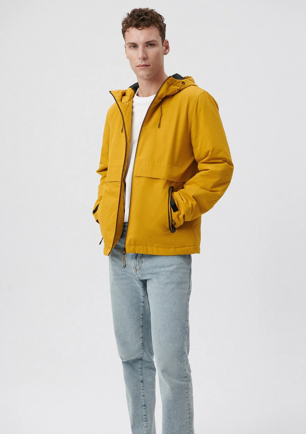 Hooded Yellow Jacket