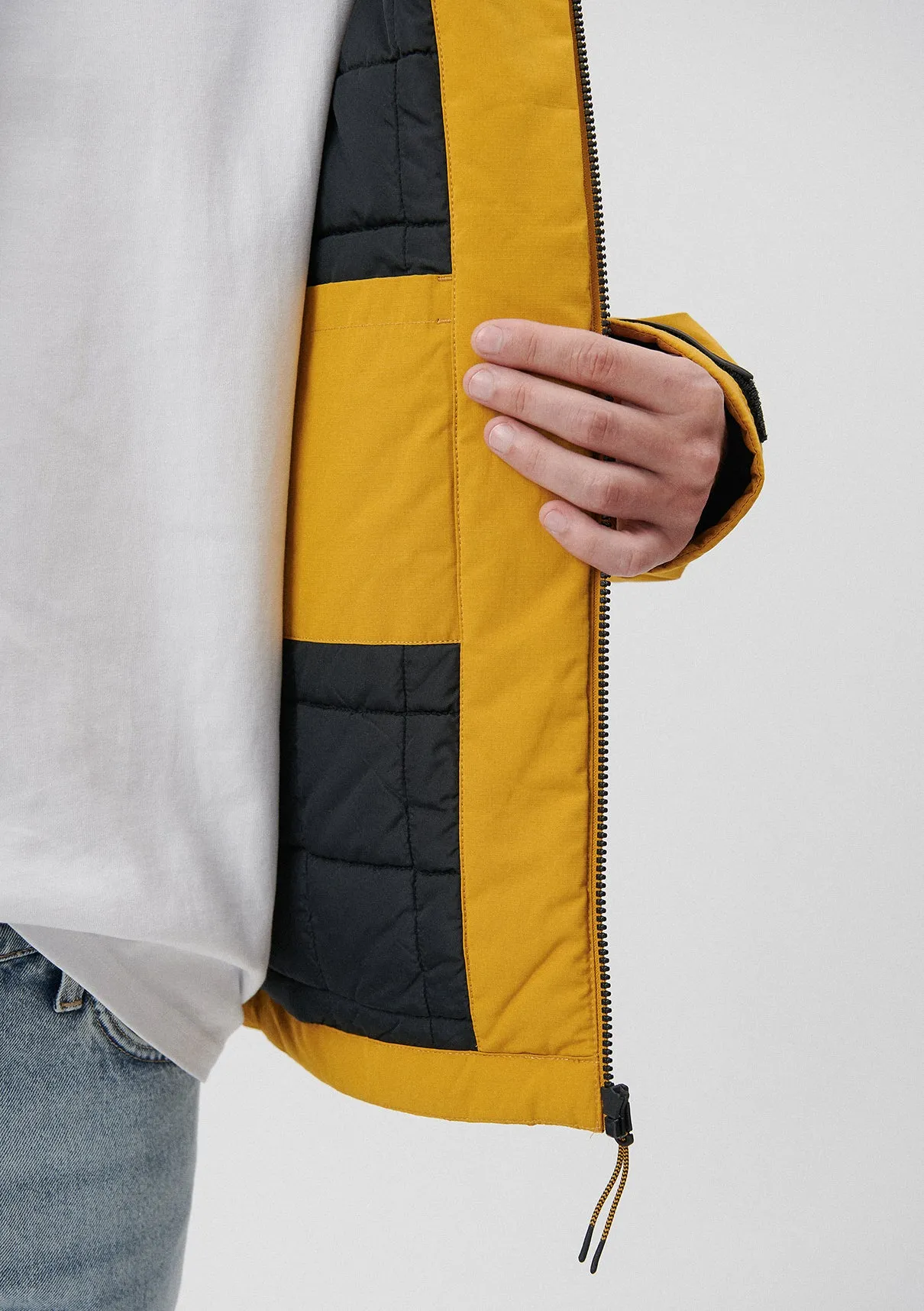 Hooded Yellow Jacket