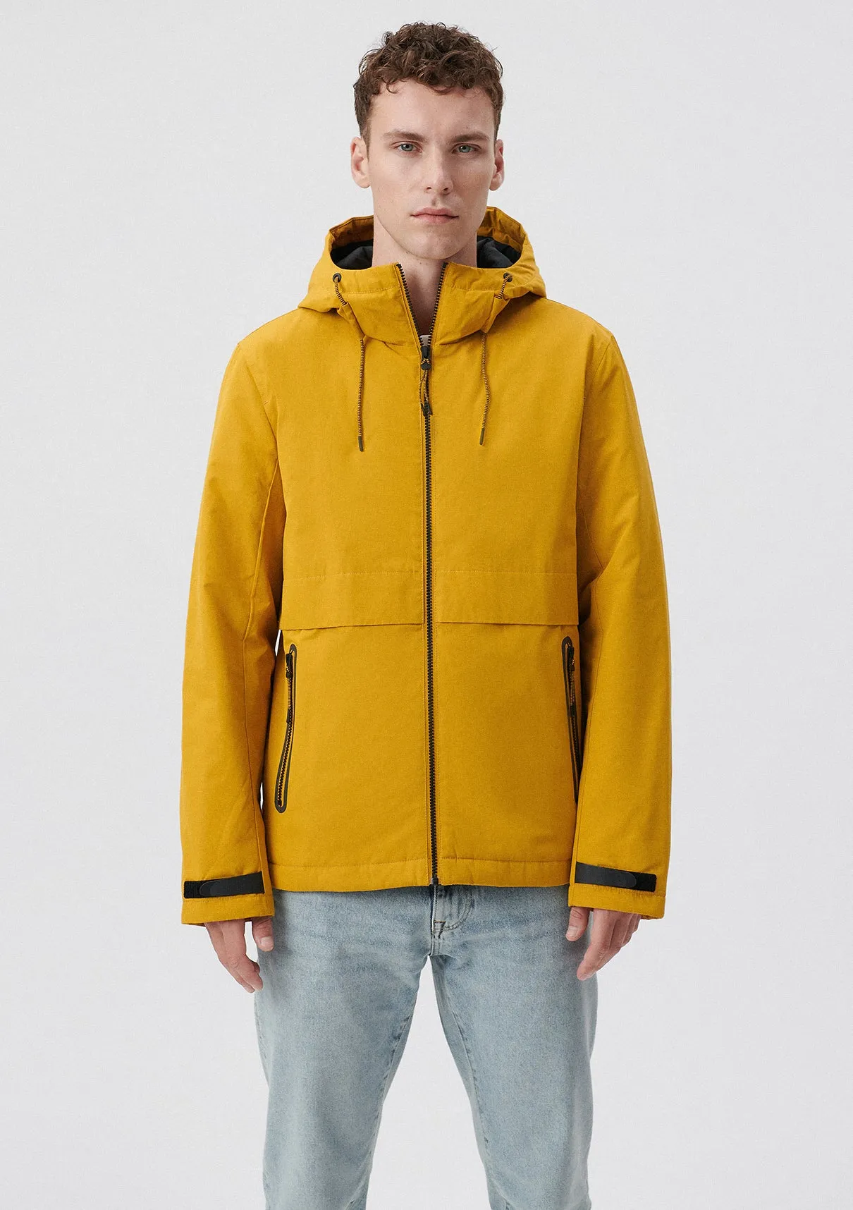 Hooded Yellow Jacket