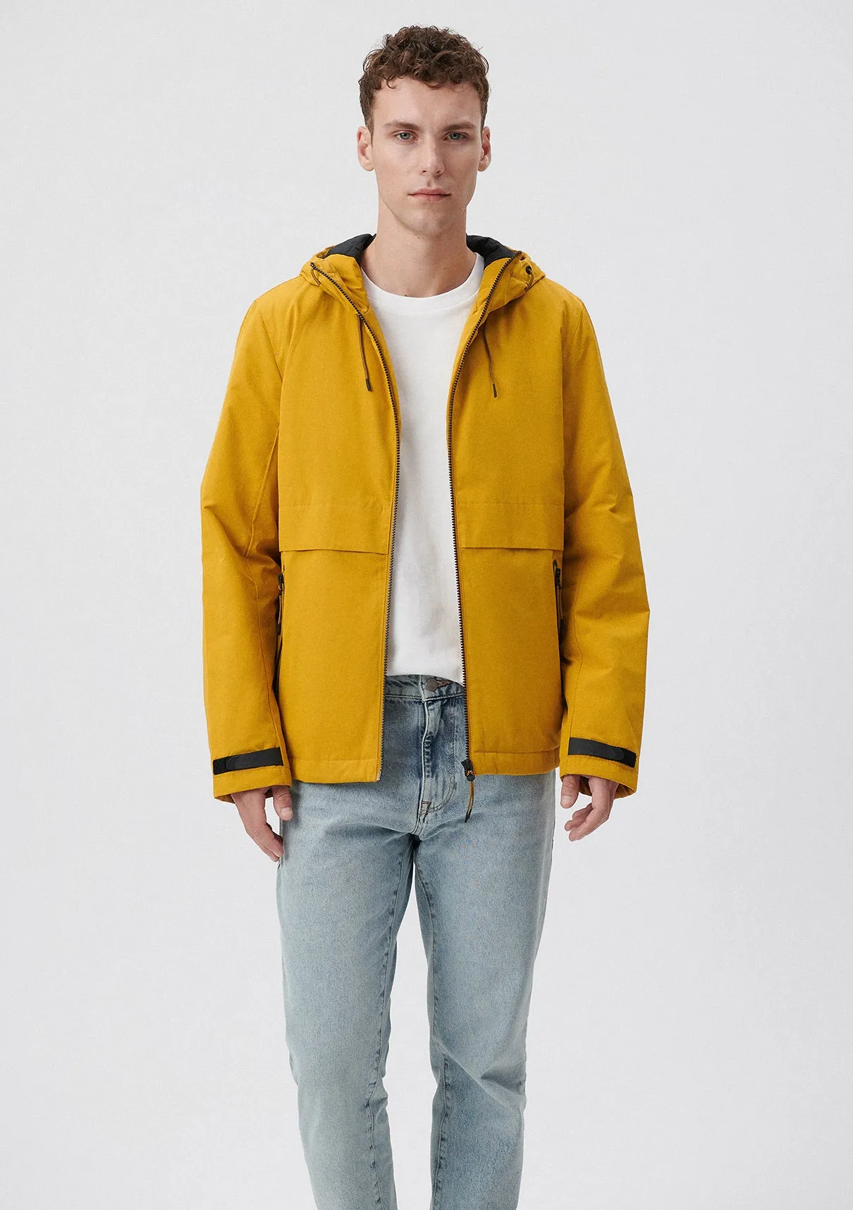 Hooded Yellow Jacket