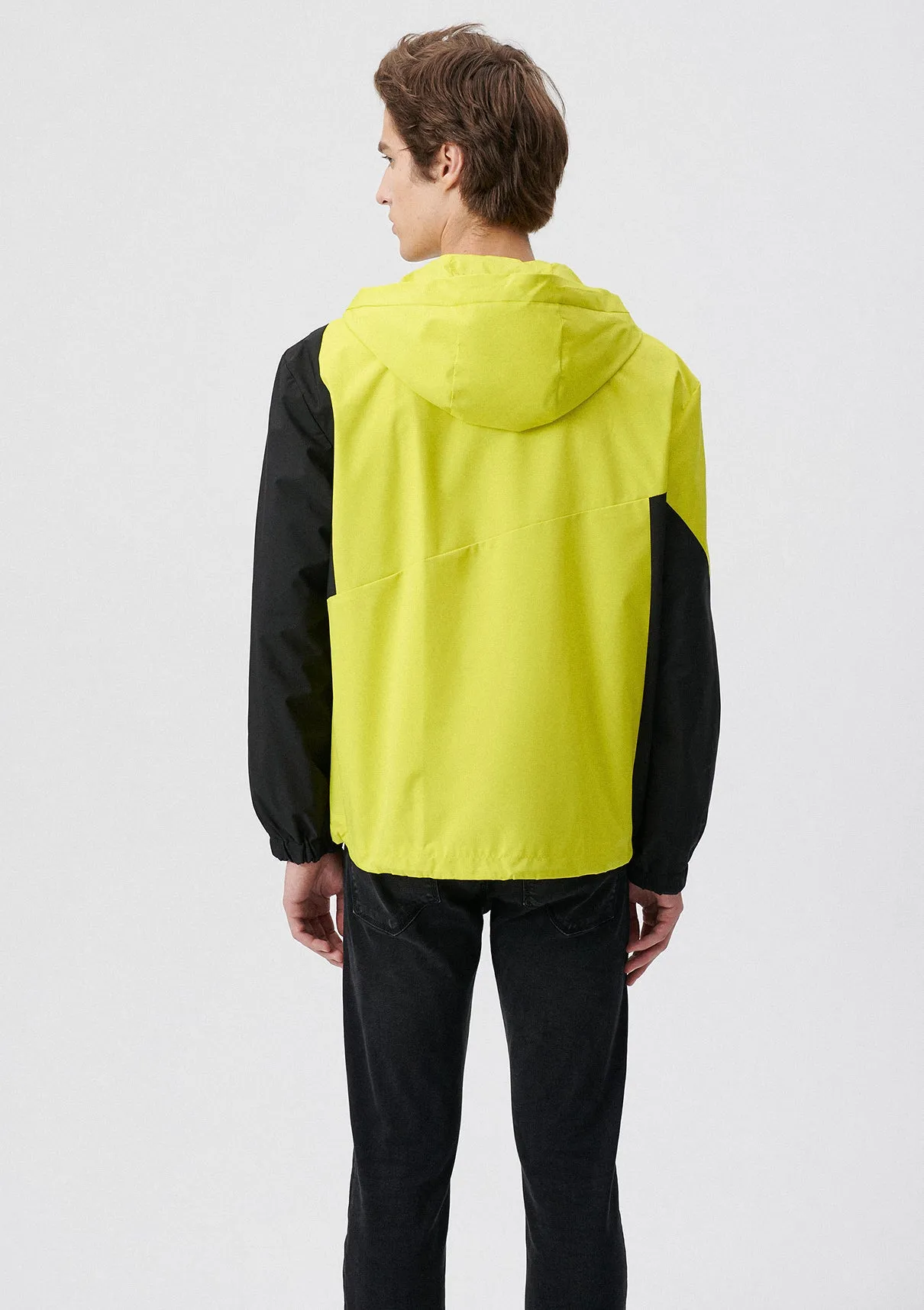 Hooded Yellow Jacket