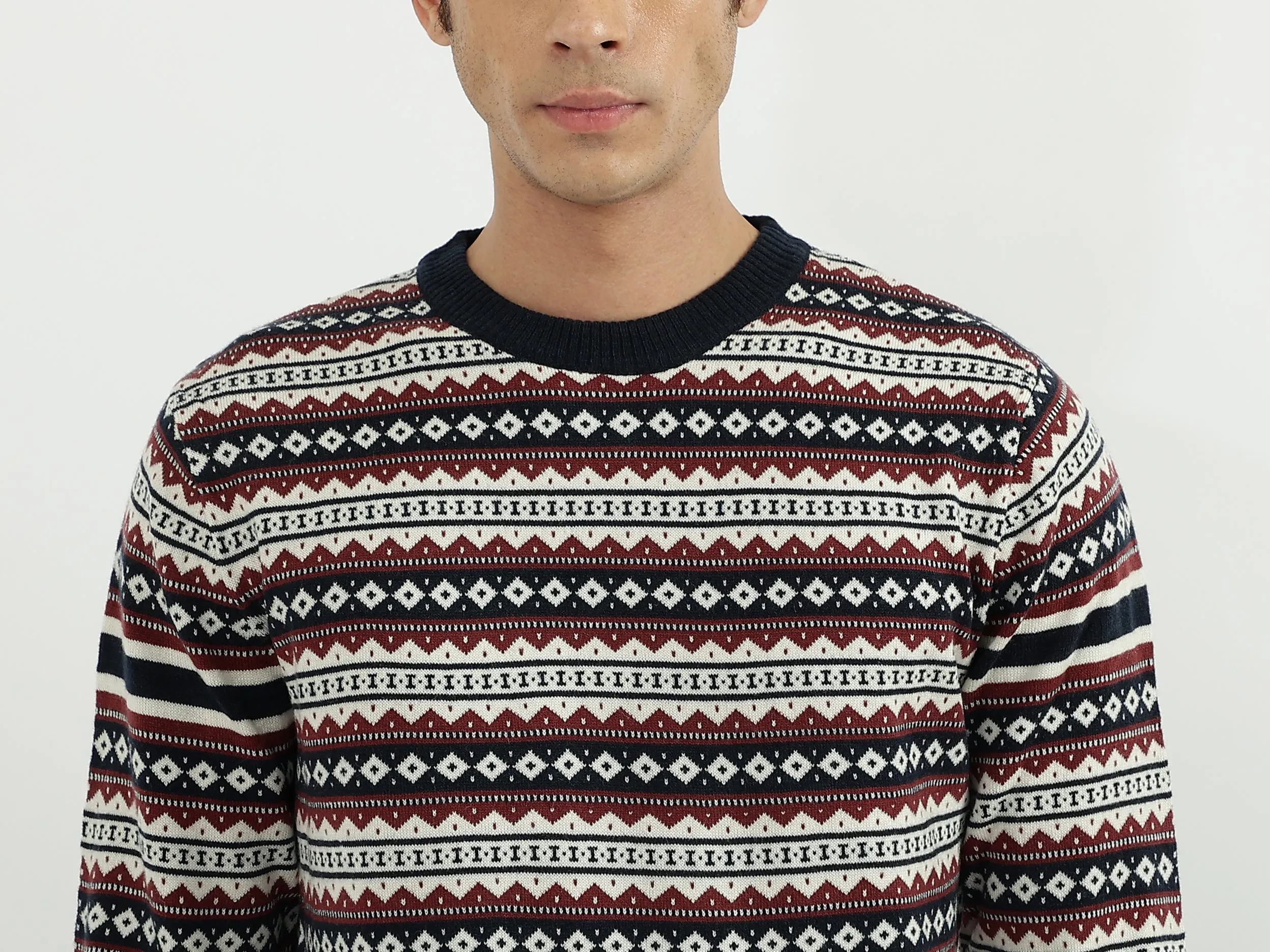 Men Patterned Round Neck Sweater