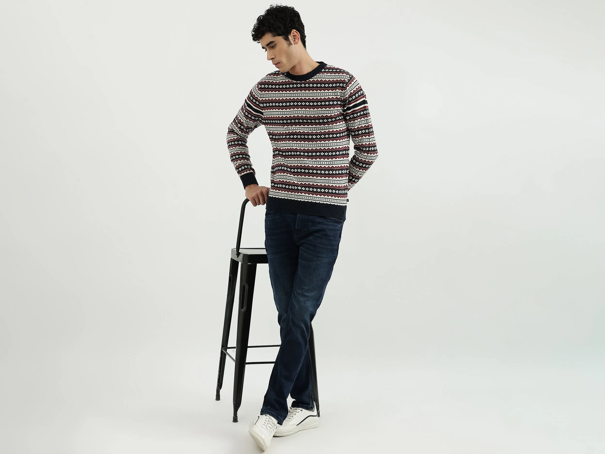 Men Patterned Round Neck Sweater