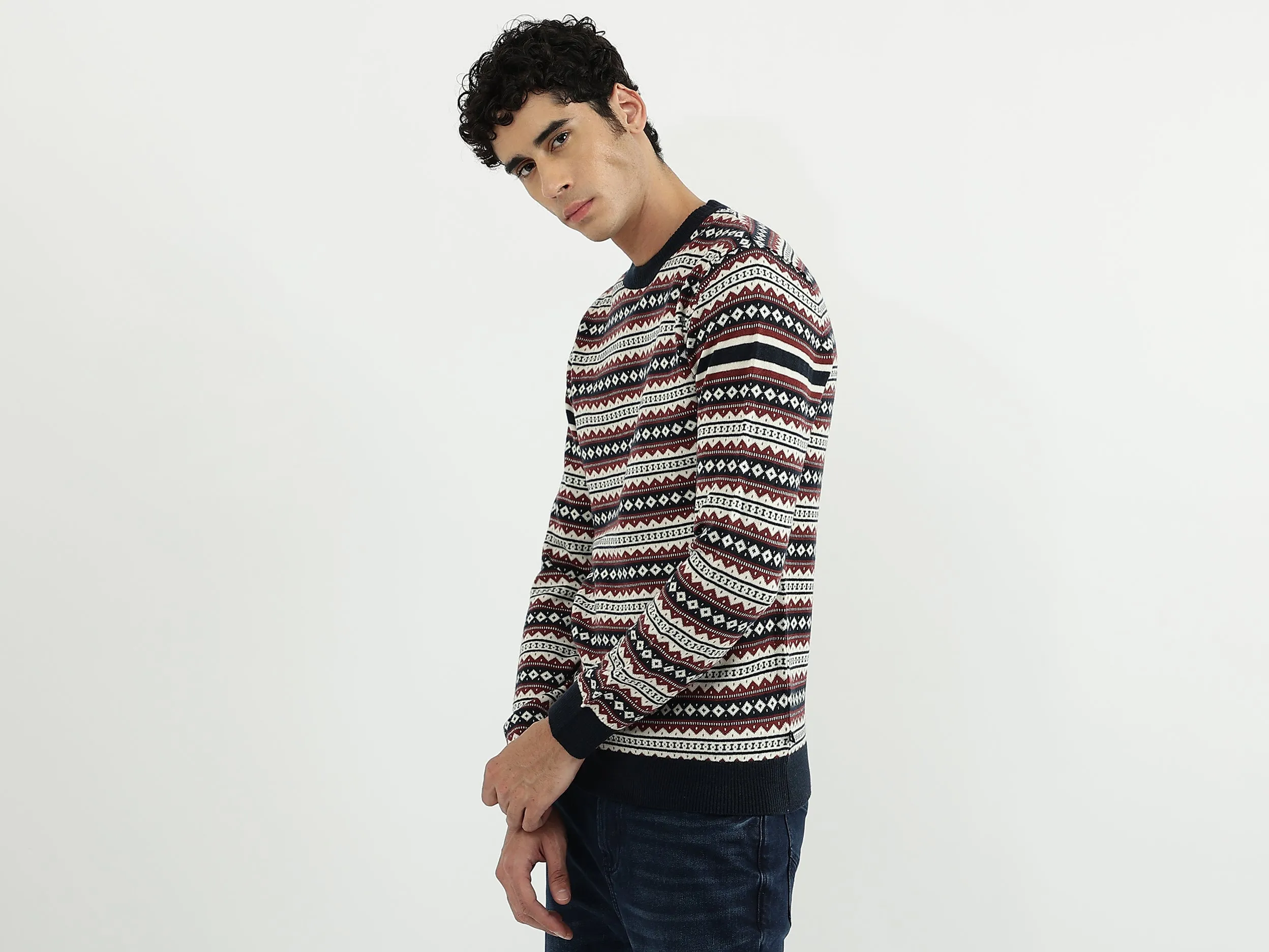 Men Patterned Round Neck Sweater