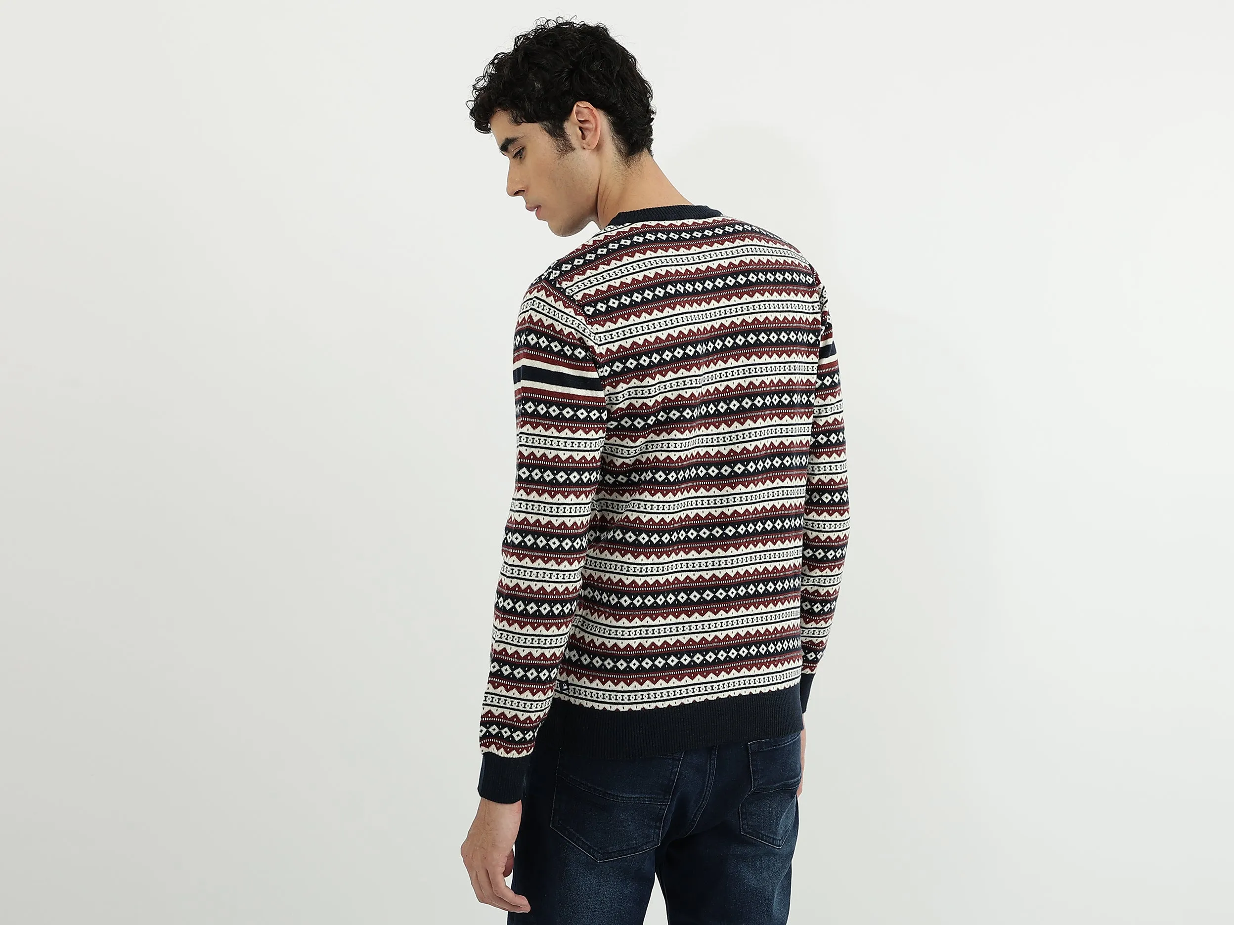 Men Patterned Round Neck Sweater