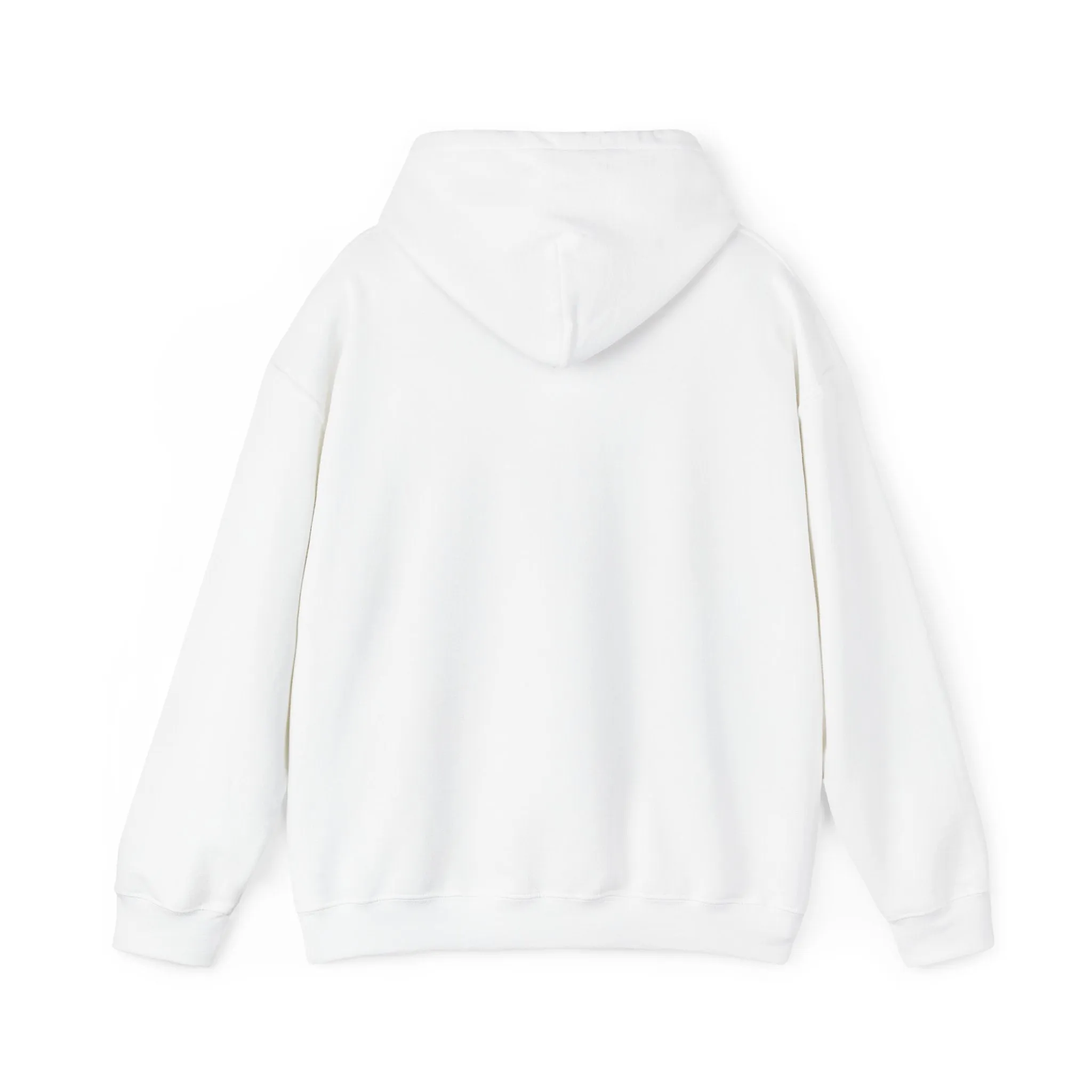 Not Coach's Favorite Adult Hooded Sweatshirt