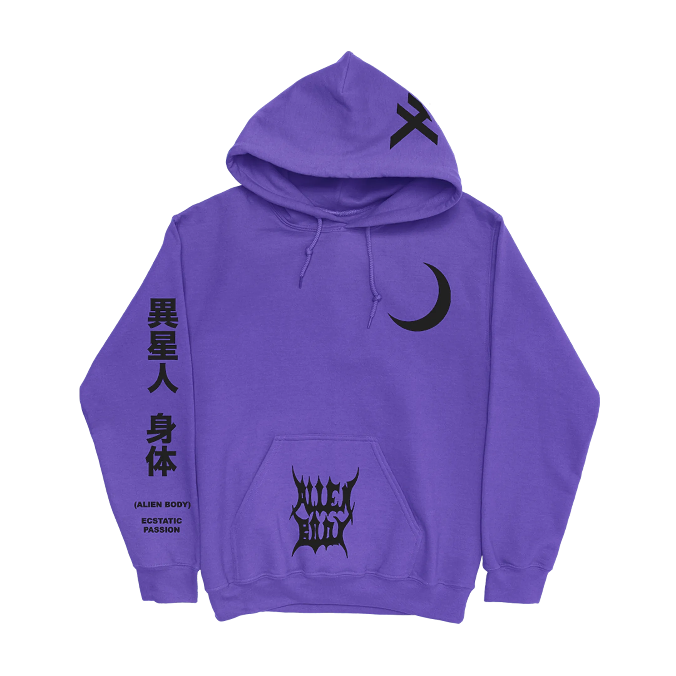 RAW VISION HOODIE (PURPLE)