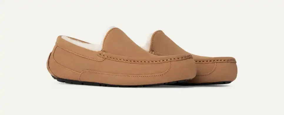 Ugg Ascot Slipper