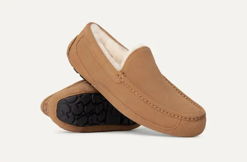 Ugg Ascot Slipper